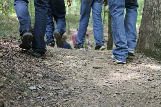 feet_walking_hiking_trails_woods_foot_person_hiking_trail-694801